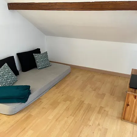 Villa Grande Maison Au Calme Avec Jardin, 15 Min De Bale *