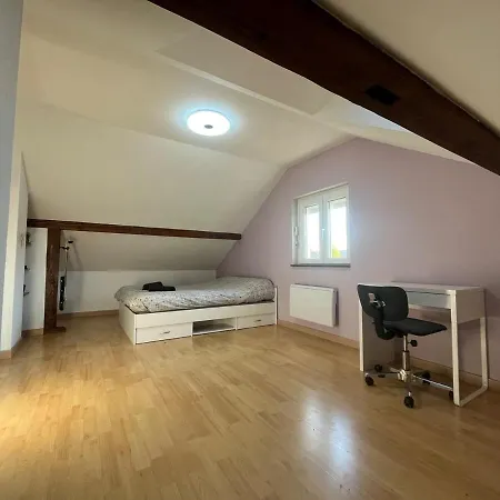 Grande Maison Au Calme Avec Jardin, 15 Min De Bale * Kembs
