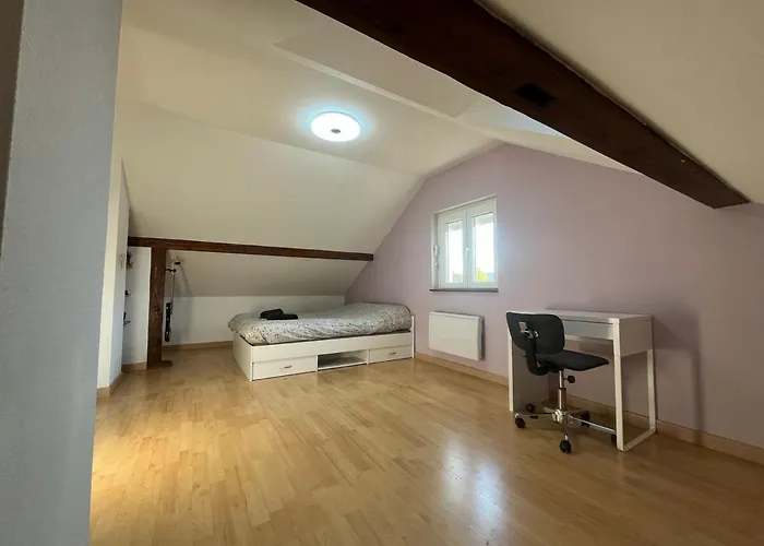 Grande Maison Au Calme Avec Jardin, 15 Min De Bale * Kembs